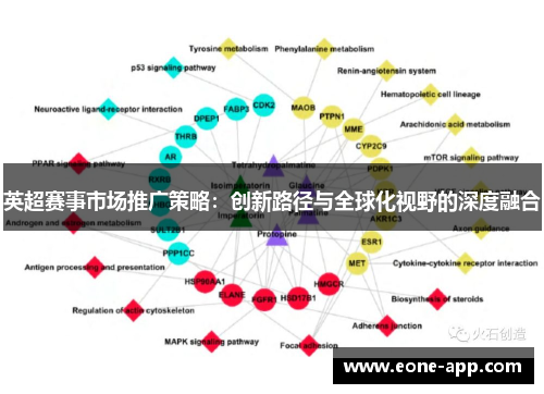 英超赛事市场推广策略：创新路径与全球化视野的深度融合