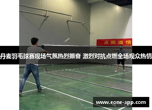 丹麦羽毛球赛现场气氛热烈振奋 激烈对抗点燃全场观众热情